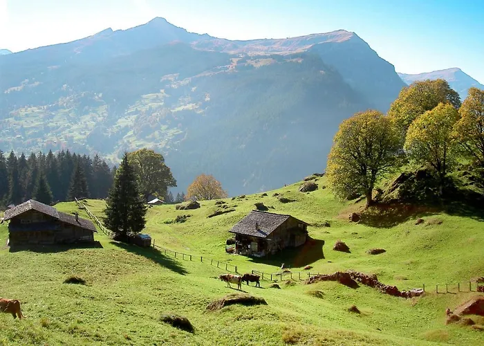 Abendrot Apartments-23 By Interhome Διαμέρισμα